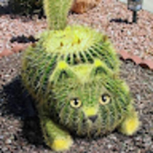 Meet your Posher, Jeanette